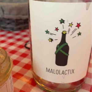 Malolactix - Le Sot de l'Ange - Angélique & Quentin Bourse 