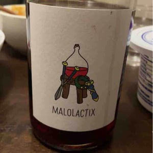 Malolactix - Le Sot de l'Ange - angelique-quentin-bourse