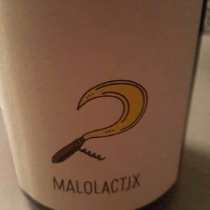 Le Sot de l'Ange - Angélique & Quentin Bourse - Malolactix