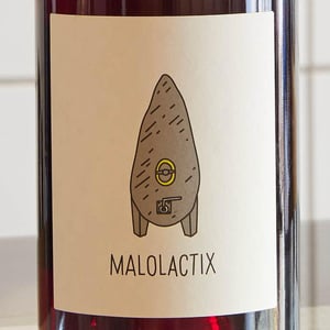 Malolactix - Le Sot de l'Ange - angelique-quentin-bourse