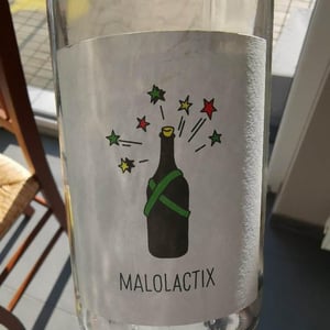 Le Sot de l'Ange - Angélique & Quentin Bourse - Malolactix