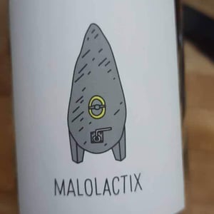 Malolactix - Le Sot de l'Ange - angelique-quentin-bourse