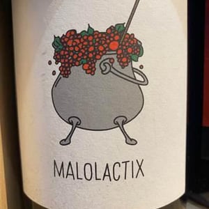 Malolactix - Le Sot de l'Ange - angelique-quentin-bourse