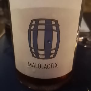 Malolactix - Le Sot de l'Ange - Angélique & Quentin Bourse 