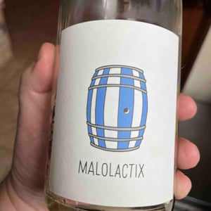 Malolactix - Le Sot de l'Ange - Angélique & Quentin Bourse 