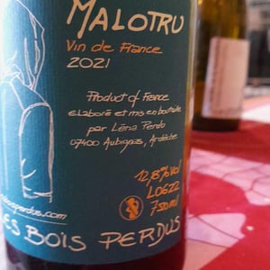 Malotru - Les Bois Perdus - lena-perdu-alexis-robin