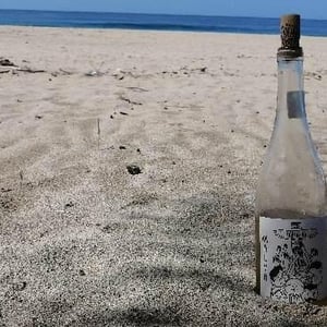 Malva - Cantina Indigeno (TEMPORARILY CLOSED) - Alfredo Giugno, Loreto Lamolinara, Nicola Reginaldi -2019