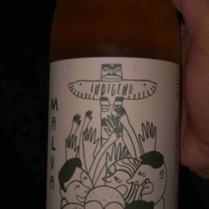 Malva - Cantina Indigeno (TEMPORARILY CLOSED) - alfredo-giugno-loreto-lamolinara-nicola-reginaldi -2019