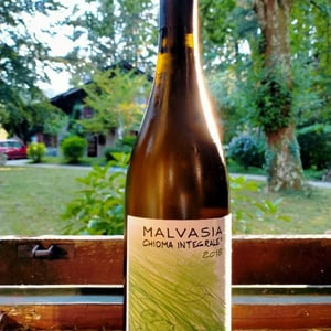 Malvasia Chioma Integrale - Vignai da Duline - lorenzo-mocchiutti-federica-magrini