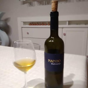 Malvazija - Nando - andrej-kristancic