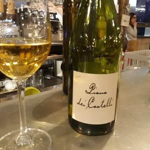 Malvasia - Piana dei Castelli - matteo-ceracchi