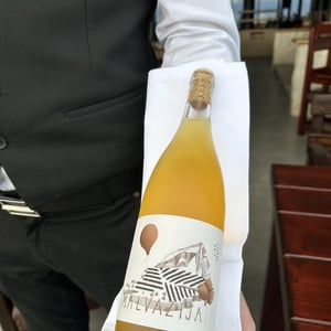 Malvazija - Vina Krapež - Martin Krapež -2019