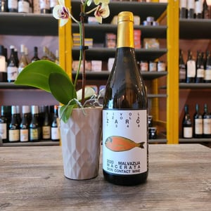 Malvazija Macerata - Vina Zaro - Zaro Wines - matej-zaro -2019