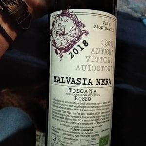 Malvasia Nera - Podere Casaccia Sine Felle - Roberto Moretti 