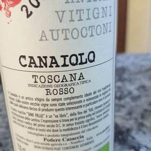 Malvasia Nera - Podere Casaccia Sine Felle - roberto-moretti