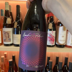 Malvasia Nera - Andrea Pilar - andrea-pilar-gritti