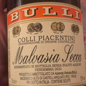 Malvasia secca - Azienda Vitivinicola Bulli - leonardo-bulli -2022