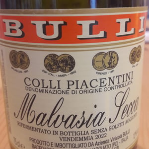 MALVASIA SECCA DOC Rifermentato in bottiglia - Azienda Vitivinicola Bulli - Leonardo Bulli 