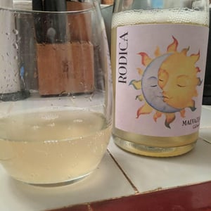Malvasija - Slovenska Istra - rodica -2019