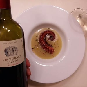 Malvazija - Vinogradi Fon - Marko Fon 