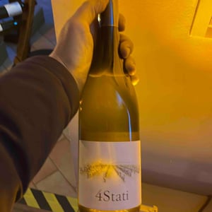 Malvazjia 4 Stati - Vinogradi Fon - Marko Fon 