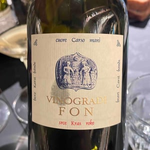 Malvazija - Vinogradi Fon - Marko Fon 