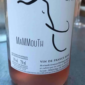 Mammouth - Nathalie Banes - Nathalie Banes 