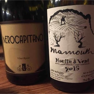 Mamouth Moulin à Vent - Julie Balagny - Julie Balagny 