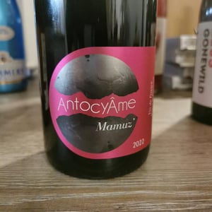 Mamuz - AntocyÂme - muriel-zoldan