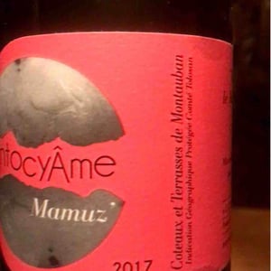 AntocyÂme - Muriel Zoldan - Mamuz