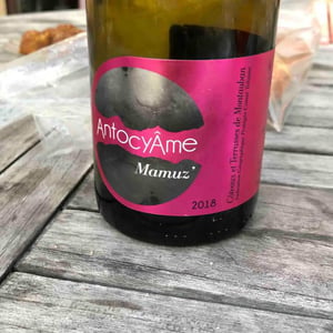 Mamuz - AntocyÂme - muriel-zoldan