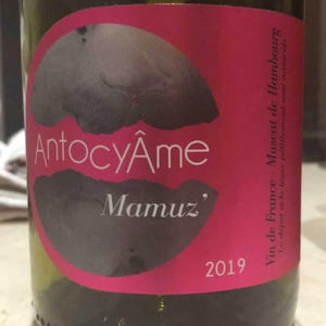 AntocyÂme - Muriel Zoldan - Mamuz
