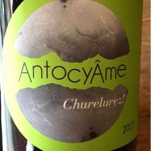 AntocyÂme - Muriel Zoldan - Mamuz