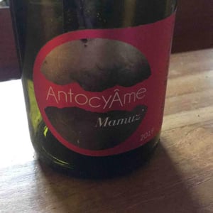 Mamuz - AntocyÂme - Muriel Zoldan 