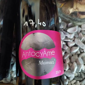 Mamuz - AntocyÂme - muriel-zoldan