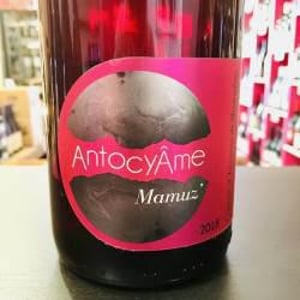 Mamuz - AntocyÂme - muriel-zoldan