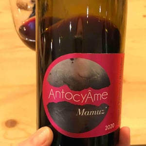 Mamuz - AntocyÂme - muriel-zoldan