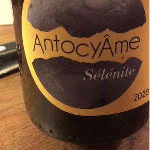 Mamuz - AntocyÂme - Muriel Zoldan 
