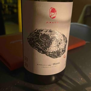 Manna - Marto Wines - Weingut Wörner - martin-worner -2020