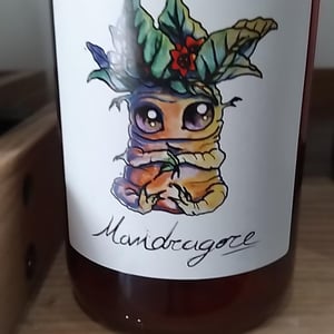 Mandragore - Kambyum - vincent-christophe -2024