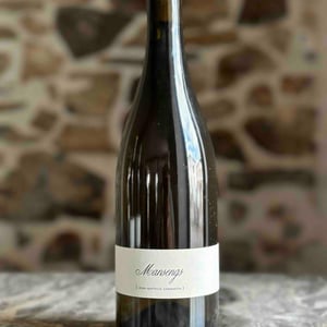 Mansengs - Domaine Lajibe - jean-baptiste-semmartin -2021