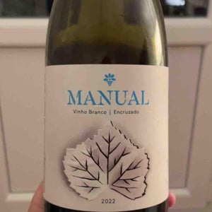 Manual - Manual Wines - José Gabriel Costa -2022