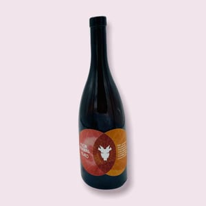 Maro - Weingut Ploder Rosenberg - manuel-ploder-selina-weratschnig