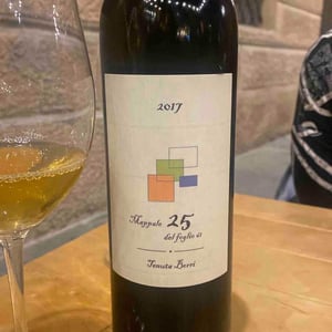 Mappale 25 del Foglio 61 - Tenuta Borri - andrea-pradelli -2017