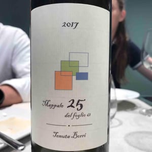 Mappale 25 del Foglio 61 - Tenuta Borri - Andrea Pradelli -2017