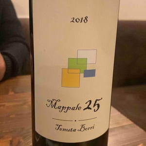 Mappale 25 del Foglio 61 - Tenuta Borri - Andrea Pradelli -2017