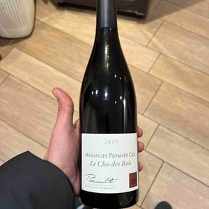 Marange 1er Cru Le Clos De Rois - Perrault - nicolas-perrault -2019