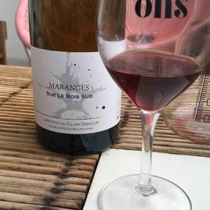 Sur Le Bois Sud - Domaine du Clair Obscur - Jennifer et Pierre Clair 