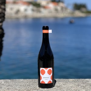 Marany - Vinarija Tomac - matija-tomac -2019