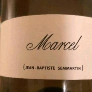Marcel - Domaine Lajibe - jean-baptiste-semmartin -2021